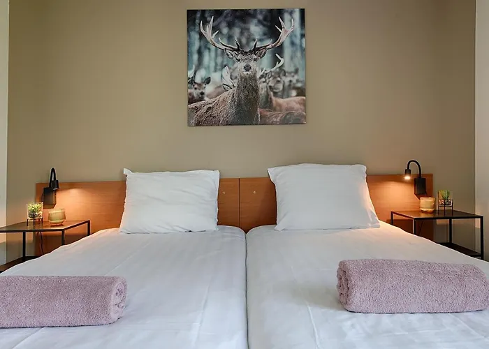 ホリデーパーク Boschmolenplas Heel