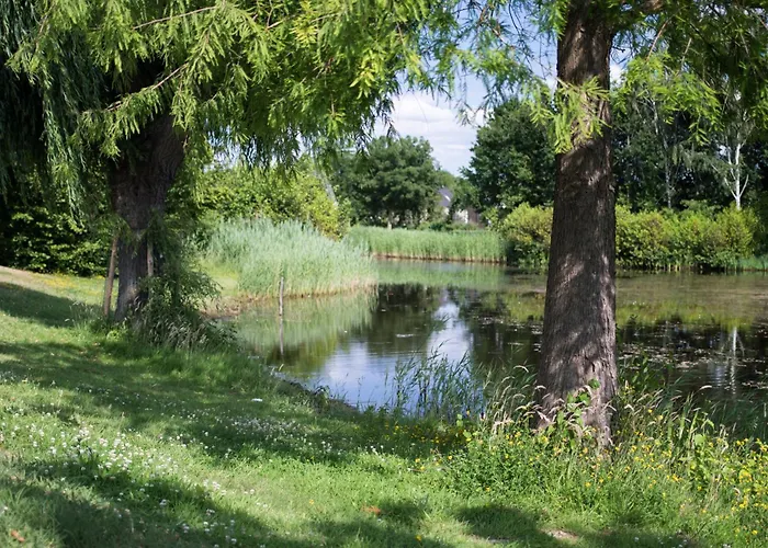 Boschmolenplas ホリデーパーク *